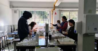 Concurso de Crecimiento de Cristales 2025