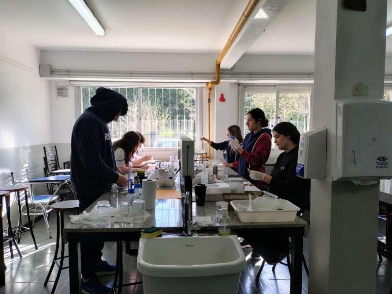 Concurso de Crecimiento de Cristales 2025