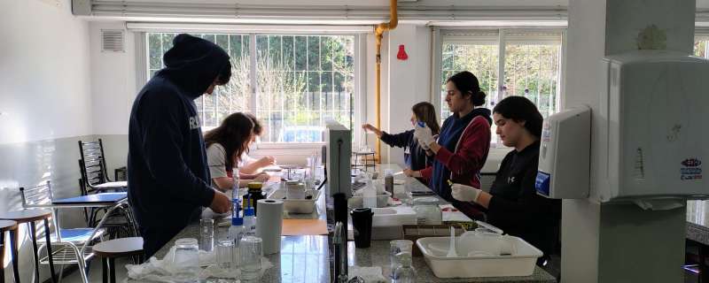 Concurso de Crecimiento de Cristales 2025